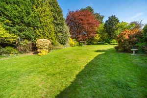 REAR GARDEN- click for photo gallery
